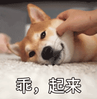 乖，起来啦