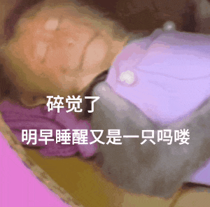 碎觉了明早睡醒又是一只吗喽（碎觉了明早睡醒又是一只吗喽）