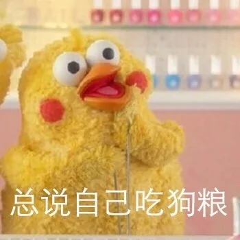 总说自己吃狗粮