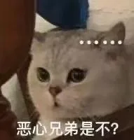 恶心兄弟是不？（恶心兄弟是不？）