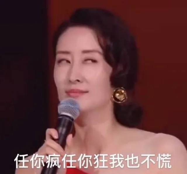 任你疯任你狂我也不慌(刘敏涛表情包)