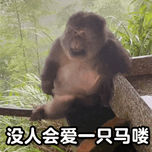 没人会爱一只马喽（没人会爱一只马喽）