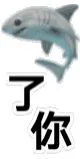 鲨鱼了你