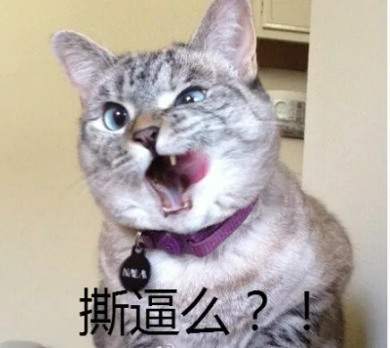 撕逼么？