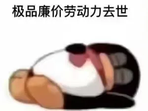 极品廉价劳动力去世（极品廉价劳动力去世）