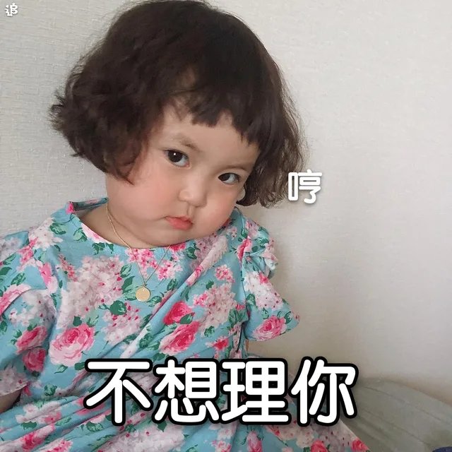 不想理你 哼（不想理你 哼）