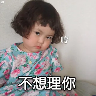 不想理你 哼