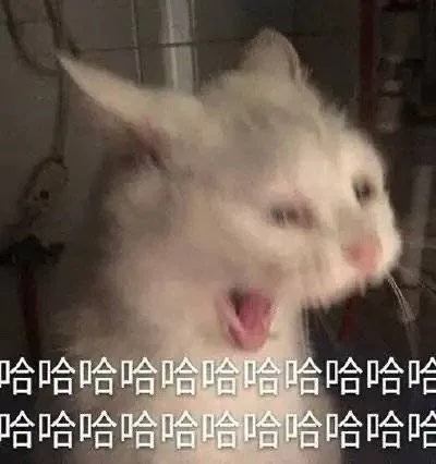 哈哈哈哈哈哈哈哈哈哈哈哈哈哈哈哈哈哈哈哈哈哈（哈哈哈哈哈哈哈哈哈哈哈哈哈哈哈哈哈哈哈哈哈哈）