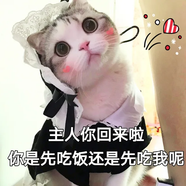 主人你回来啦，你是先吃饭还是先吃我呢