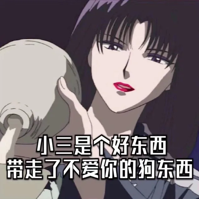小三是个好东西 带走了不爱你的狗东西（小三是个好东西 带走了不爱你的狗东西）