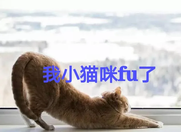 我小猫咪fu了（我小猫咪fu了）
