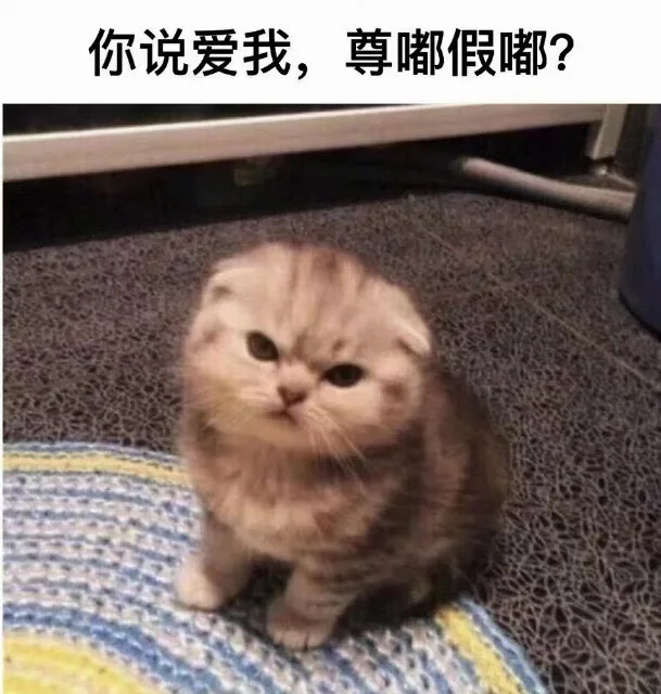 你说爱我，尊嘟假嘟？（你说爱我，尊嘟假嘟？）