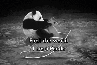 fuck the world I am a panda（fuck the world I am a panda）