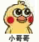 小黄鸡亲亲