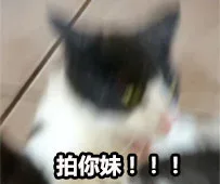 拍你妹！！！