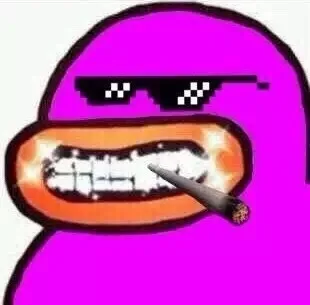 社会我鸭哥，人狠话不多