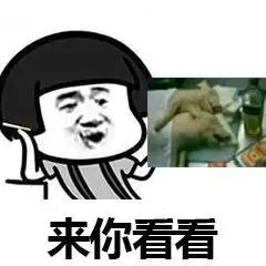 来你看看（来你看看）