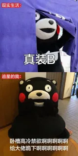 现实生活:真装B追星的我:卧槽高冷禁欲啊啊啊啊啊给大佬跪下啊啊啊啊啊啊