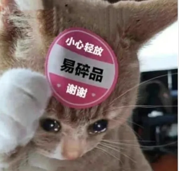 小心轻放易碎品谢谢（小心轻放易碎品谢谢）