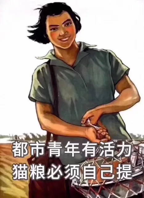 都市青年有活力，猫粮必须自己提（都市青年有活力，猫粮必须自己提）