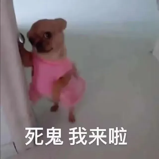 死鬼我来啦（死鬼我来啦）