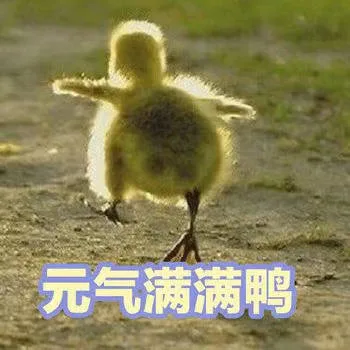 元气满满鸭（元气满满鸭）