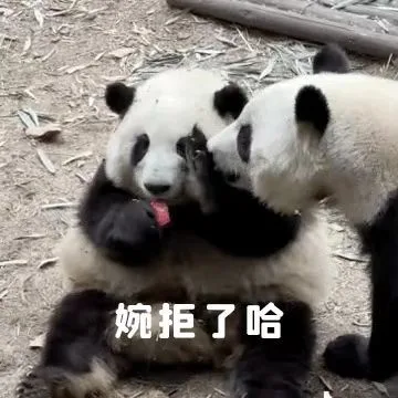 婉拒了哈（婉拒了哈）