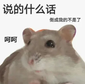说的什么话倒成我的不是了呵呵(鼠鼠表情包)（说的什么话倒成我的不是了呵呵(鼠鼠表情包)）