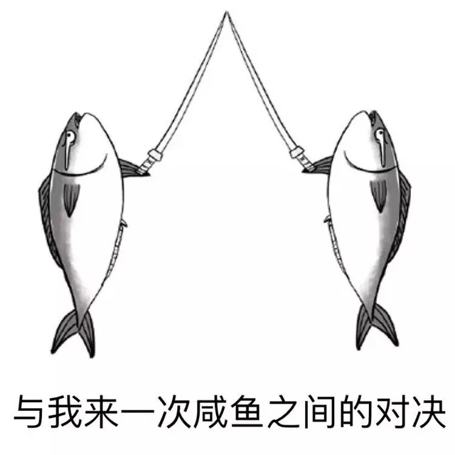 与我来一次咸鱼之间的对决吧