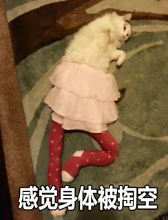 感觉身体被掏空