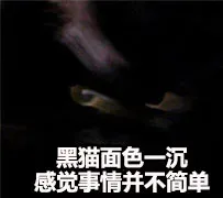 黑猫面色一沉，感觉事情并不简单