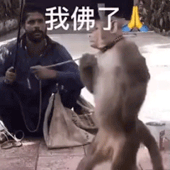 我佛了人(吗喽表情包)（我佛了人(吗喽表情包)）