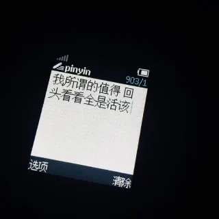 我所谓的值得，回头看看全是活该