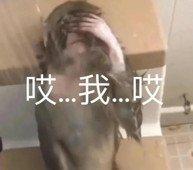 哎…我…哎（哎…我…哎）