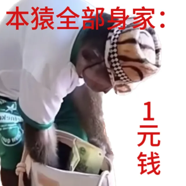 本猿全部身家：1元钱（本猿全部身家：1元钱）