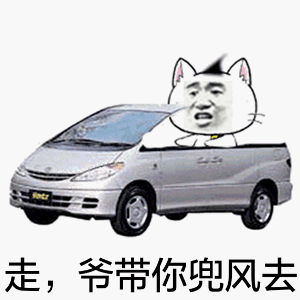 走，爷带你兜风去！_动图_装逼_搞笑表情包