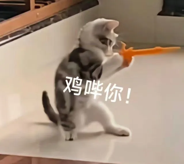 鸡哔你！（鸡哔你！）