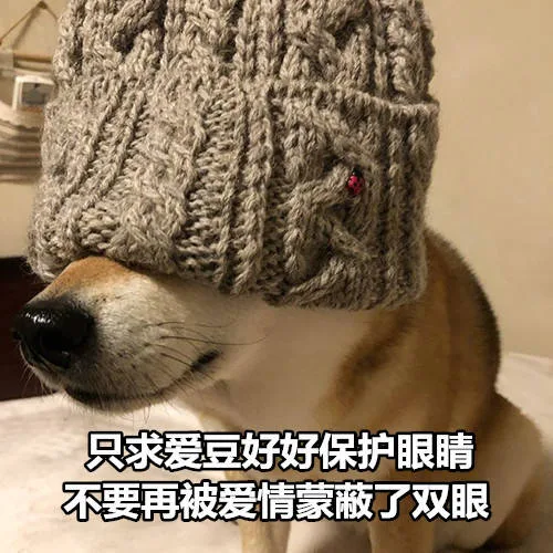 只求爱豆好好保护眼睛，不要再被爱情蒙蔽了双眼（只求爱豆好好保护眼睛，不要再被爱情蒙蔽了双眼）