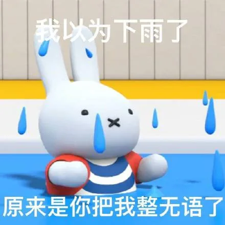 我以为下雨了原来是你把我整无语了