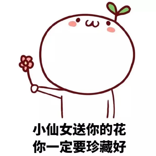 小仙女送你的花 你一定要珍藏好