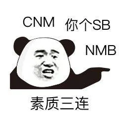 素质三连：CNM 你个 SB NMB