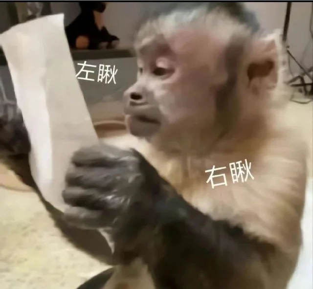 左瞅右瞅(吗喽表情包)（左瞅右瞅(吗喽表情包)）
