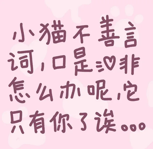 小猫不善言词,是非怎么办呢只有你了诶