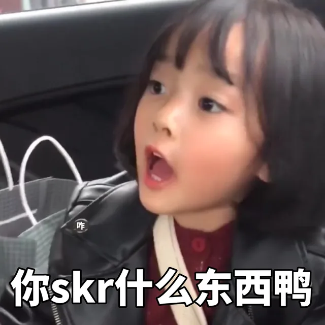 你skr什么东西鸭