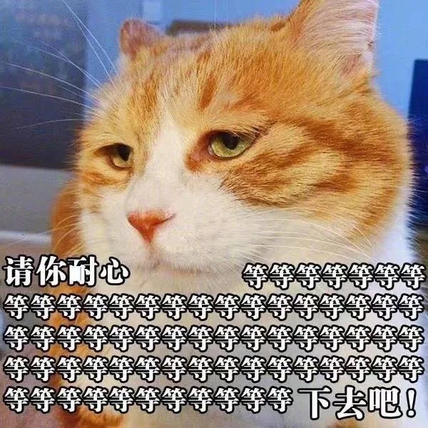 请你耐心等等等等下去吧!
