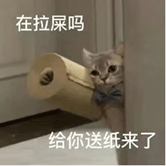 在拉屎吗给你送纸来了（在拉屎吗给你送纸来了）