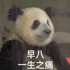 早八一生之痛（早八一生之痛）