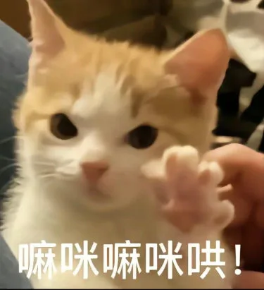 嘛咪嘛咪哄！（嘛咪嘛咪哄！）