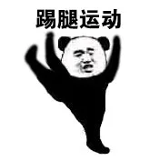 踢腿运动（踢腿运动）