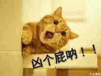 凶个屁呐！！